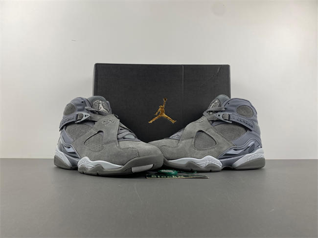 Jordan 8 Retro Cool Grey 305381 014